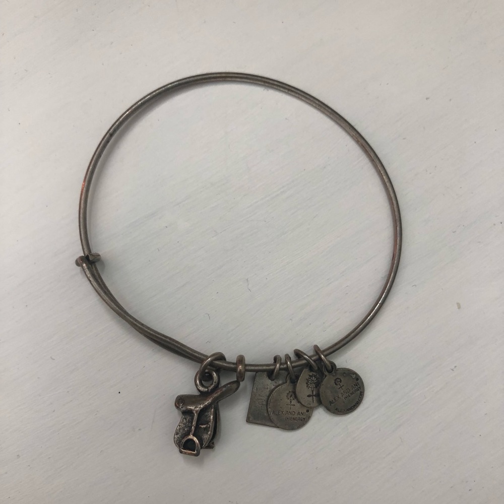 Alex and Ani Saddle, SILVER